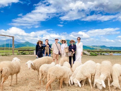 tour Đồng Cừu-Vườn nho-(Ninh Thuận) đi từ Nha Trang